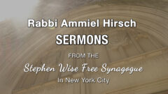 Rabbi Hirsch SERMONS SERIES ART_Stephen Wise Sermon 26_053122 Massacre Uvalde.00_53_48_09.Still081