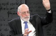 Defending Israel:  David Harris with Izabella Tabarovsky