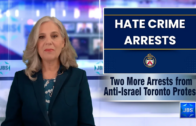 Defending Israel with David Harris- Dalia Ziada on the Iran War